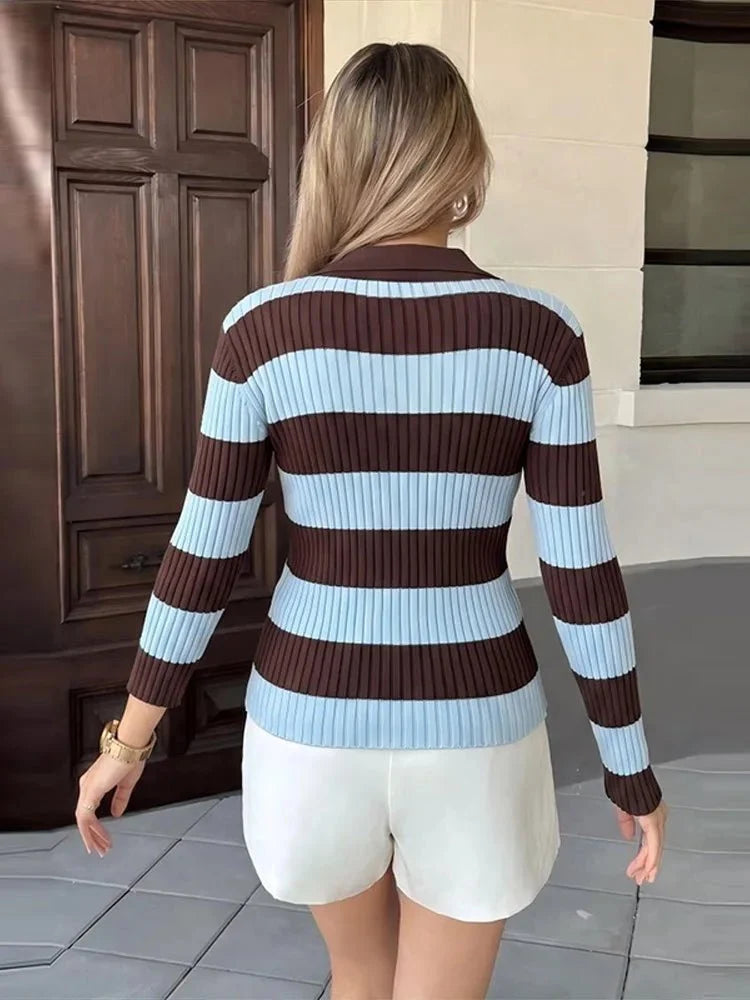 Striped Long Sleeve Knit Polo Pullover